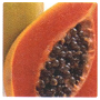 LCN SPA Hydro & Balance Active Ingredient: Papaya Fruit Extract